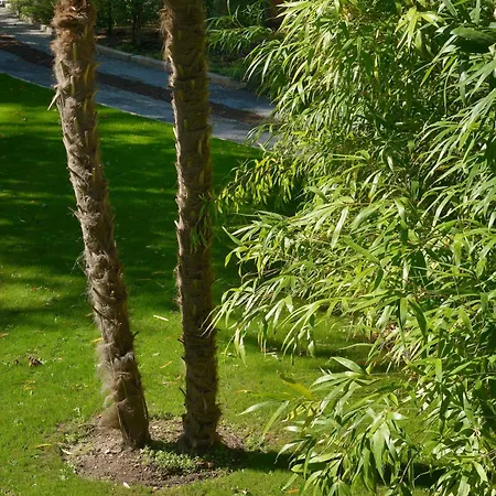 Maison Du Verger Idéal Pour Séjours Pros