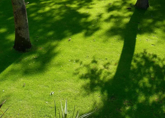 Hébergement de vacances La Maison Verger *